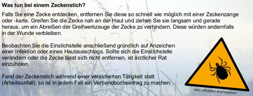 Was tun bei einem Zeckenstich? Falls Sie eine Zecke entdecken, entfernen Sie diese so schnell wie möglich mit einer Zeckenzange oder -karte. Greifen Sie die Zecke nah an der Haut und ziehen Sie sie langsam und gerade heraus, um ein Abreißen der Greifwerkzeuge der Zecke zu verhindern. Diese würden andernfalls in der Wunde verbleiben. Beobachten Sie die Einstichstelle anschließend gründlich auf Anzeichen einer Infektion oder eines Hautausschlags. Sollte sich die Einstichstelle verändern oder die Zecke lässt sich nicht entfernen, ist ärztlicher Rat einzuholen. Fand der Zeckenstich während einer versicherten Tätigkeit statt (Arbeitsunfall), so ist in jedem Fall ein Verbandbucheintrag zu machen. (Warnzeichen Zecke, nicht offiziell)